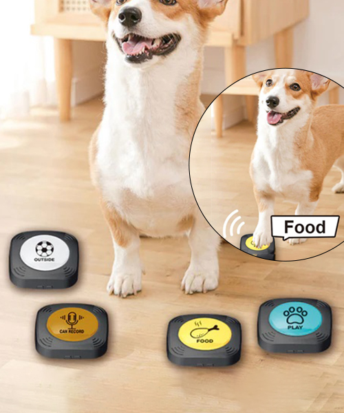 Command Pet Buttons: Make Your Furry Friends Learn To Communicate