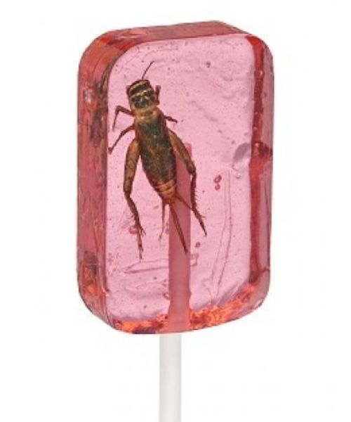 Cricket Lick-It Sucker