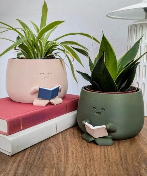 Cute Reading Planter