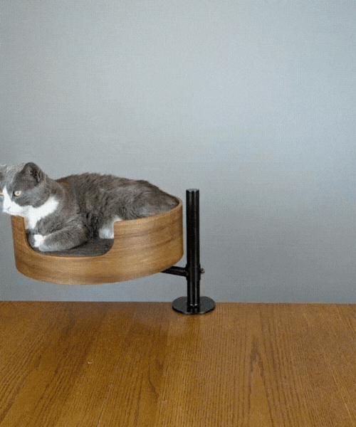 Desk Nest Cat Bed