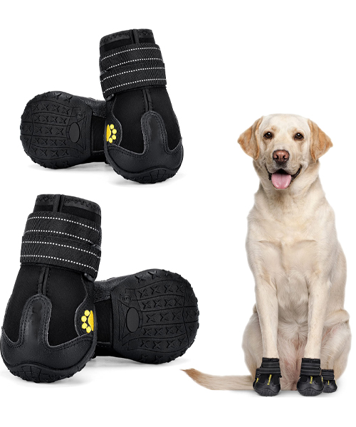 Dog Dog Boots