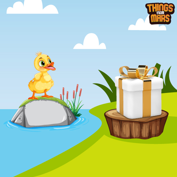 Quirky Duck Gifts For Dedicated Duck Admirers