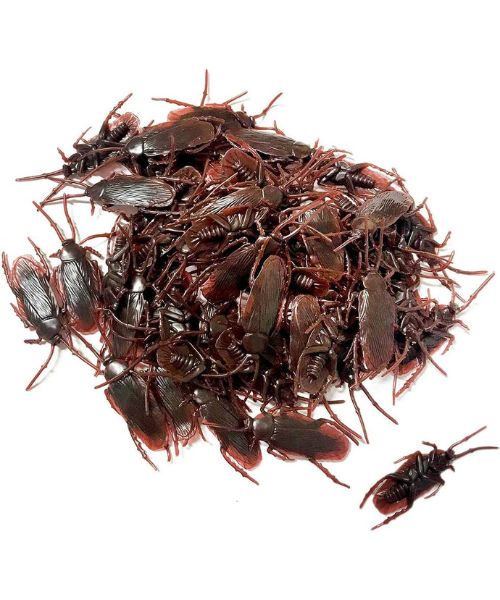 Fake Prank Roaches