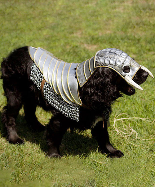 Fantasy Dog Knight Armor