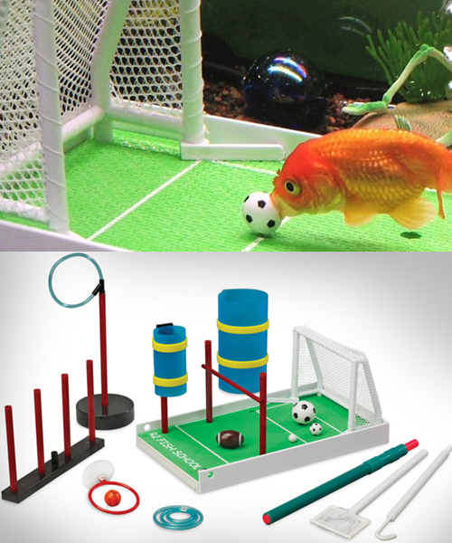 Fish Soccer Training Kit