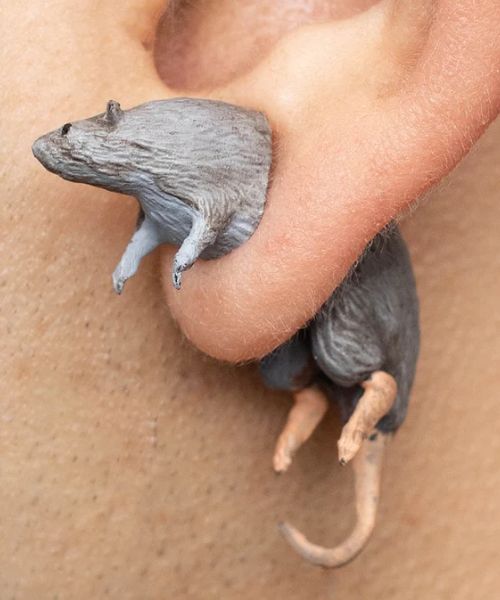 Hand Painted Rat Earrings