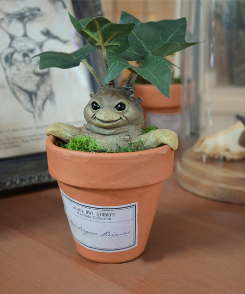 Harry Potter Inspired Mandrake Planters - Right From The Wizarding World.