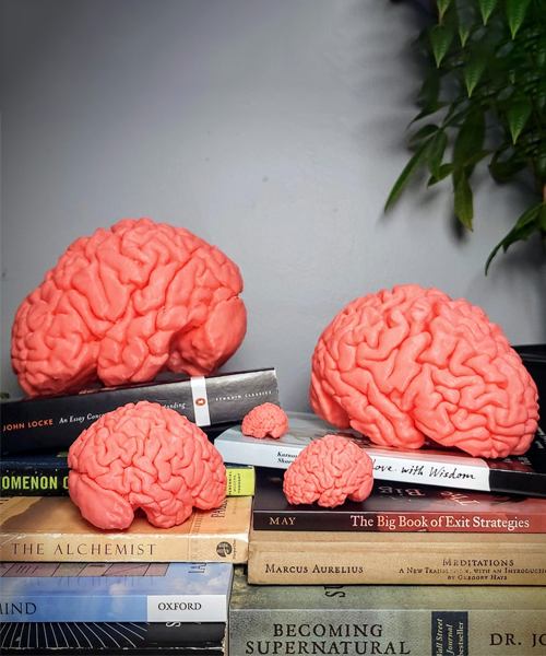 Human Brain Ultra HD 3D Print