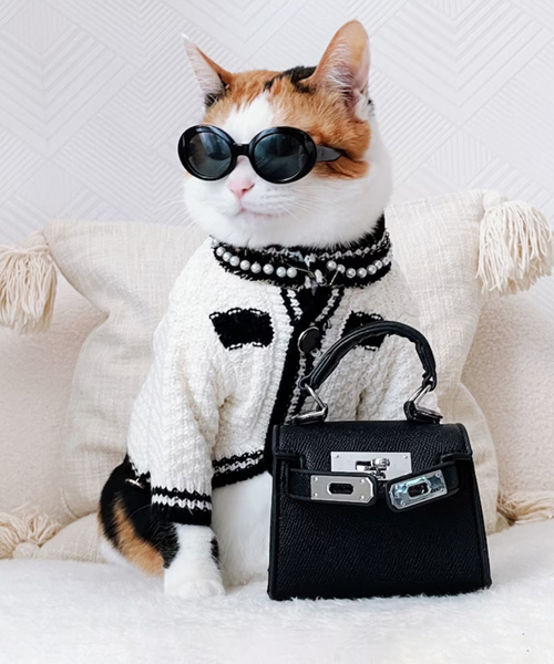 Luxury Knit Cardigan Cat Outfit