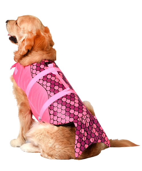  Mermaid Dog Life Jacket: Gives Your Dog Both Safety And Style 