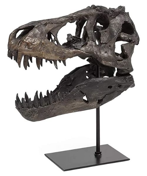 Mini T-Rex Skull