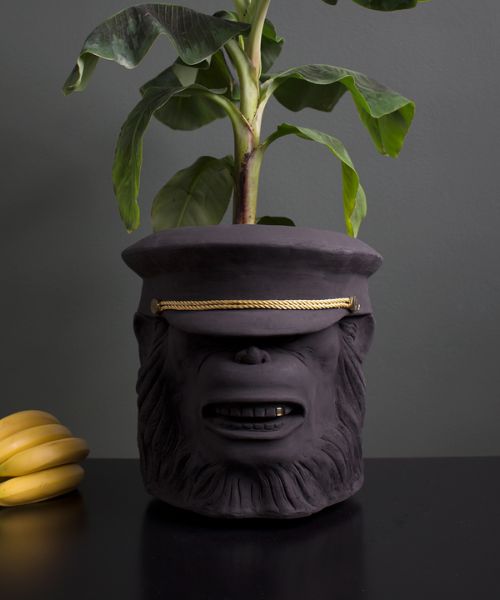 Monkey Face Pot