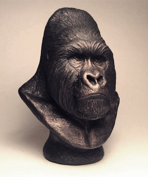  Mountain Gorilla Silverback Bust Sculpture Statue