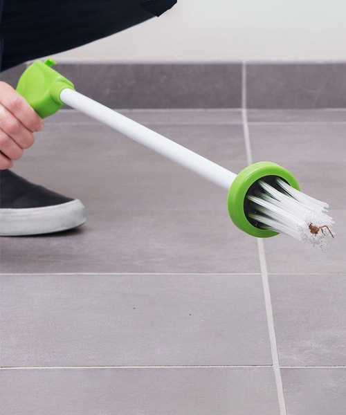 Critter Catcher: Easy And Harmless Spider Release 