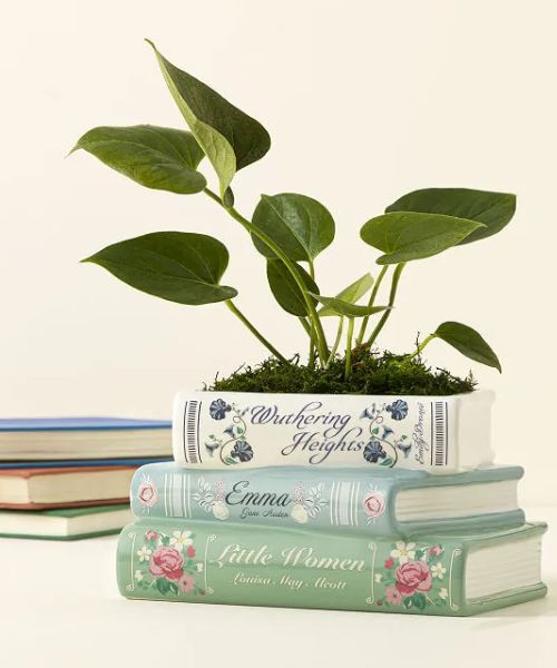 Novel Garden Planter