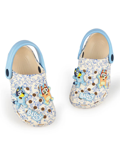 Personalized Bluey Family Birthday Clog Shoes