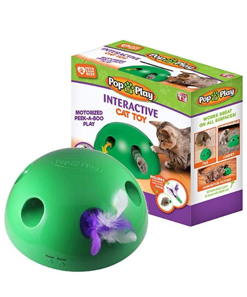 Pop N Play Interactive Motion Cat Toy
