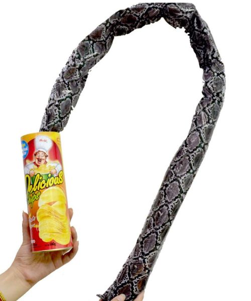 Potato Chip Snake