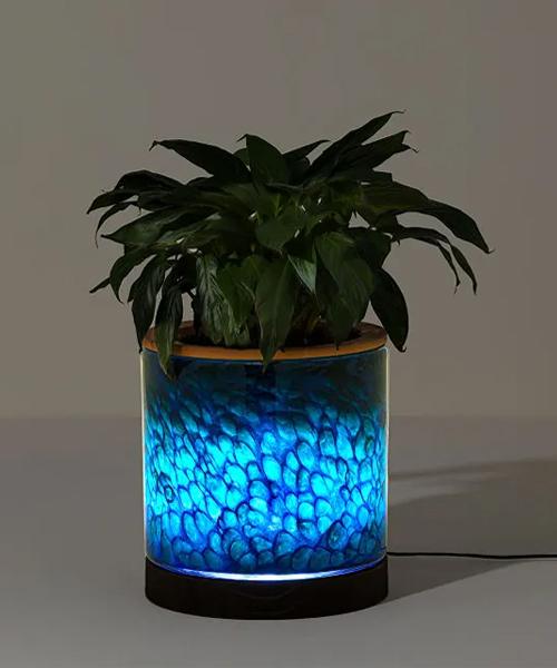 Self-Watering Lamp Planter