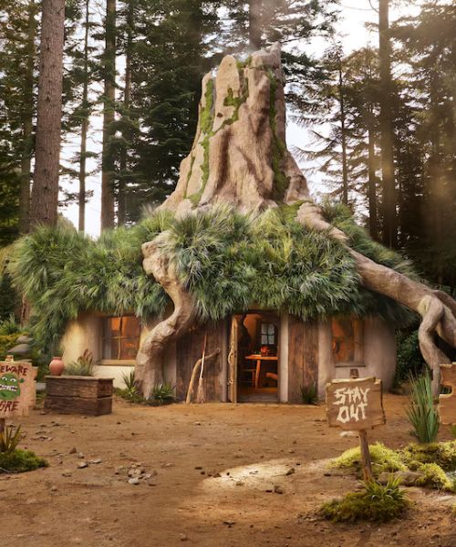 Shrek’s Swamp Airbnb