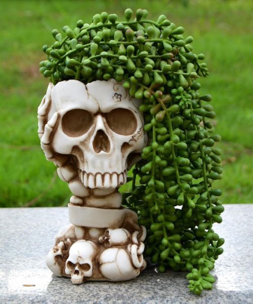 Skull Planter