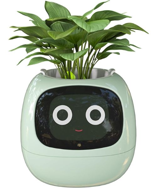 Smart Flowerpots with AI