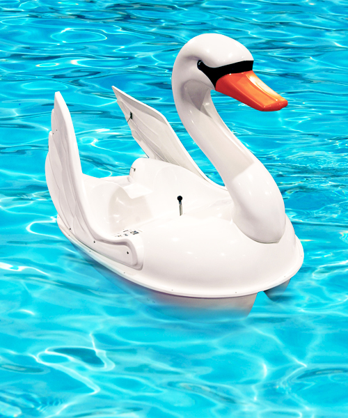 Swan Pedal Boat