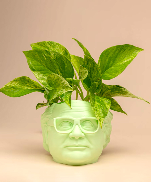 The Danny Devito Frank Reynolds Planter
