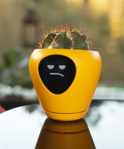 The Smart Planter with Feelings