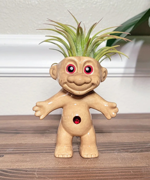 Treasure Troll Air Plant Holder