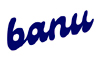 Banu Skin