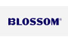Blossom Beauty