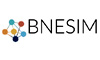 Bnesim