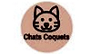 Chats Coquets