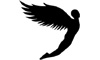 Flysports Flysports