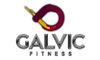Galvic