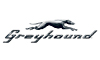 Greyhound Greyhound