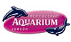 Interactive Aquarium