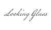 LookingGlassPro