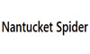 Nantucket Spider