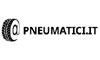 Pneumatici Pneumatici