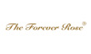 The Forever Rose The Forever Rose